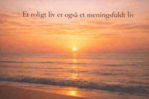 Read more about the article Et roligt liv er også et meningsfuldt liv