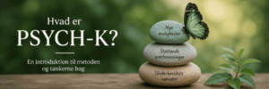Read more about the article Hvad er PSYCH-K? En introduktion til metoden og tankerne bag