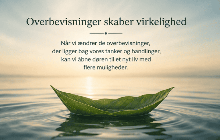 Overbevisninger