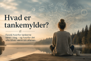 Read more about the article Hvad er tankemylder?